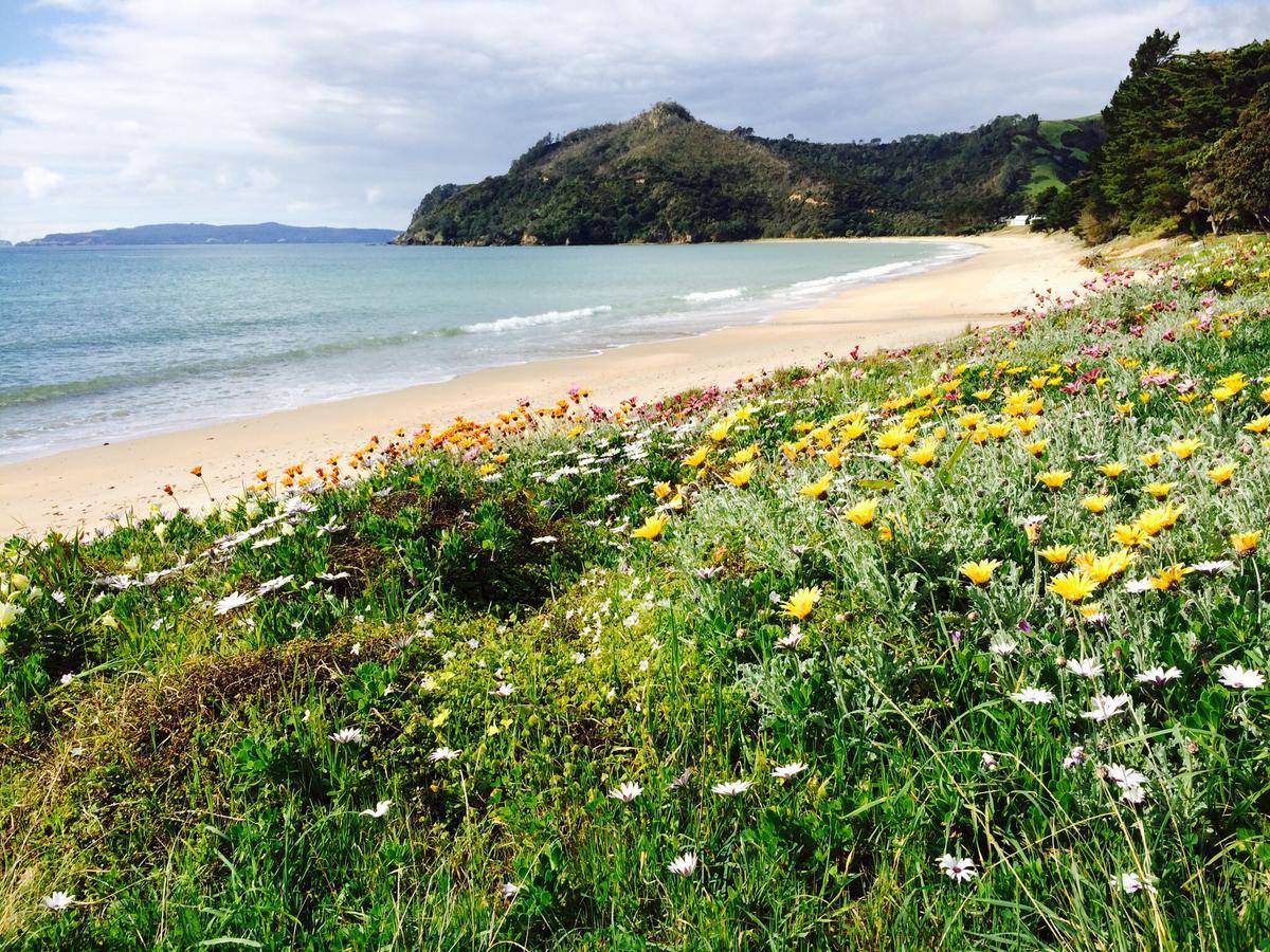 Taigh na Mara Bed and Breakfast Whitianga Bagian luar foto