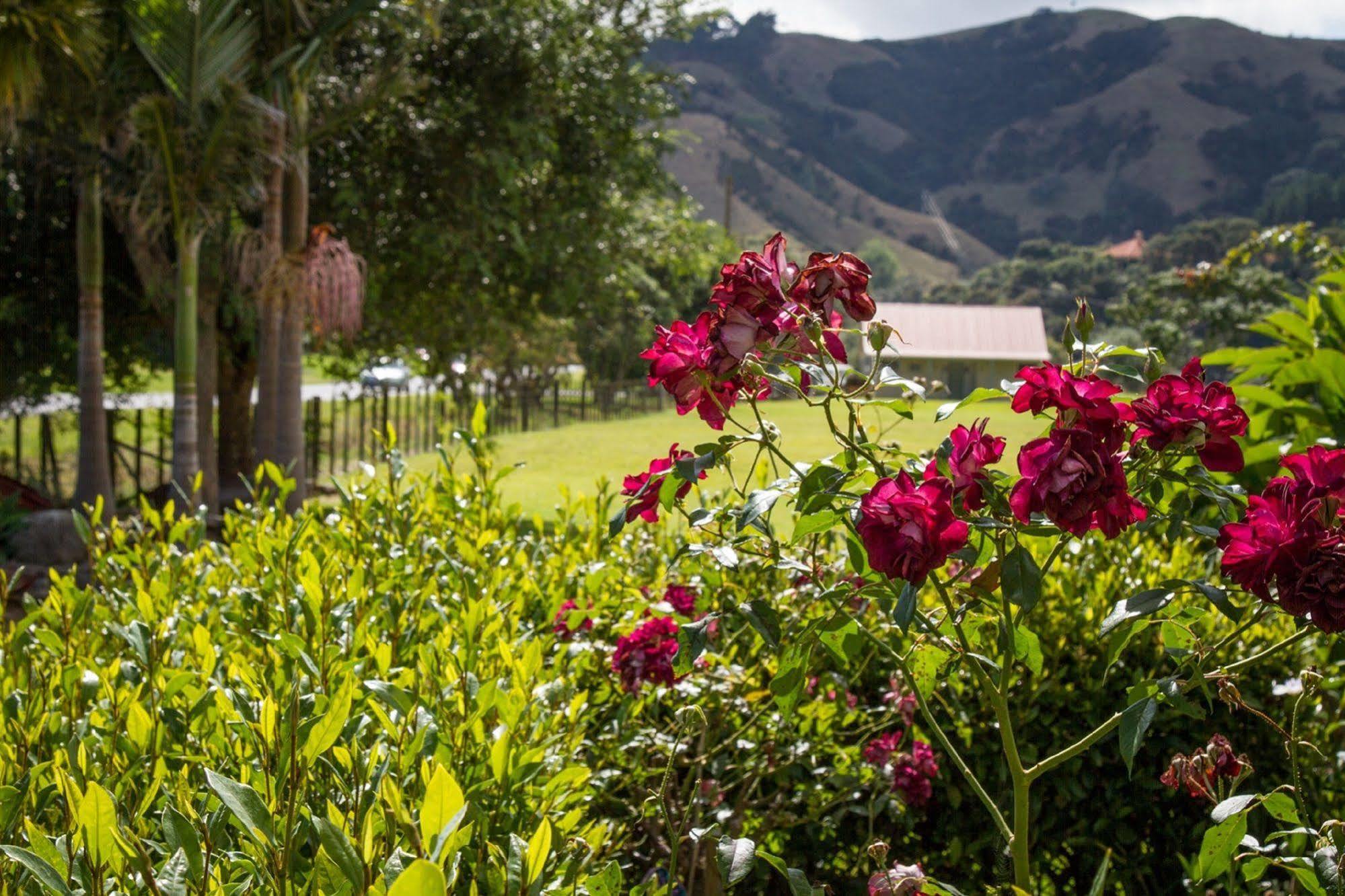 Taigh na Mara Bed and Breakfast Whitianga Bagian luar foto